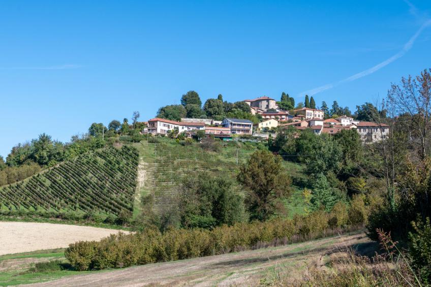 Tenuta Il Pozzo Fiorito (CMB100) - foto 38