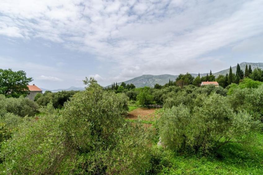 Guest House Kola - Standard Double Room with Balcony - foto 12