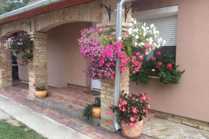 Holiday house with outdoor fireplace and washing machine - BF-GJ38 - foto 9