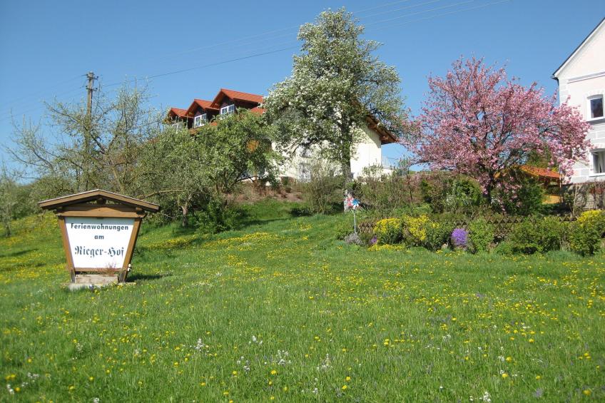 Am Ferienhof - foto 13