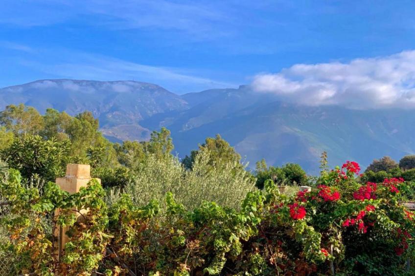 El Ensueno - foto 35