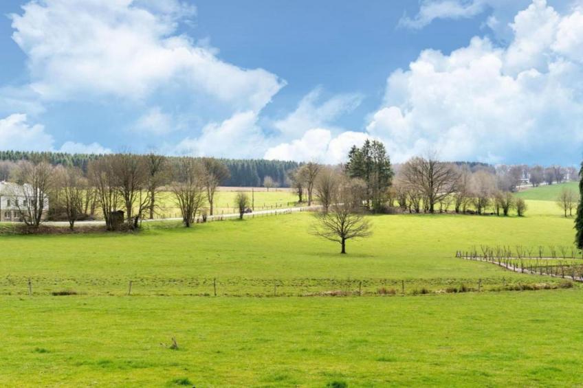 Petite Reine - foto 25