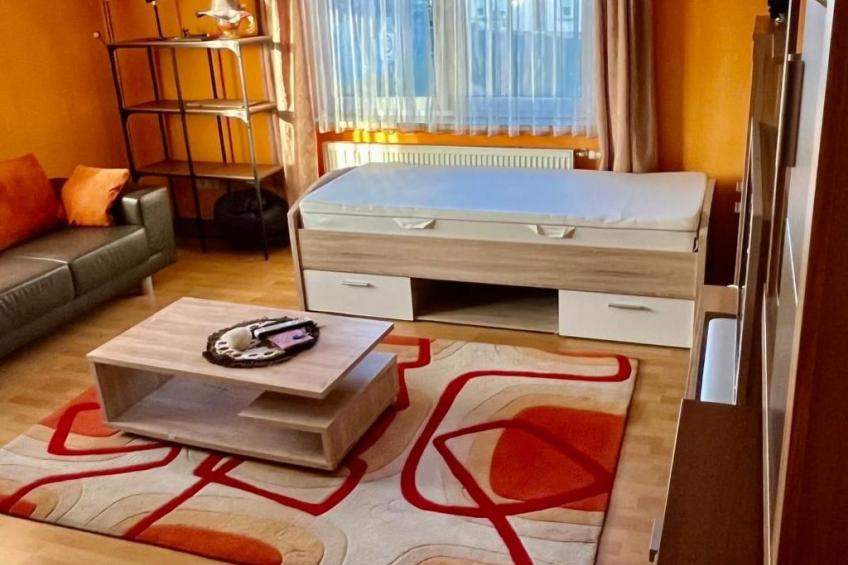 Apartment Alfons - foto 11