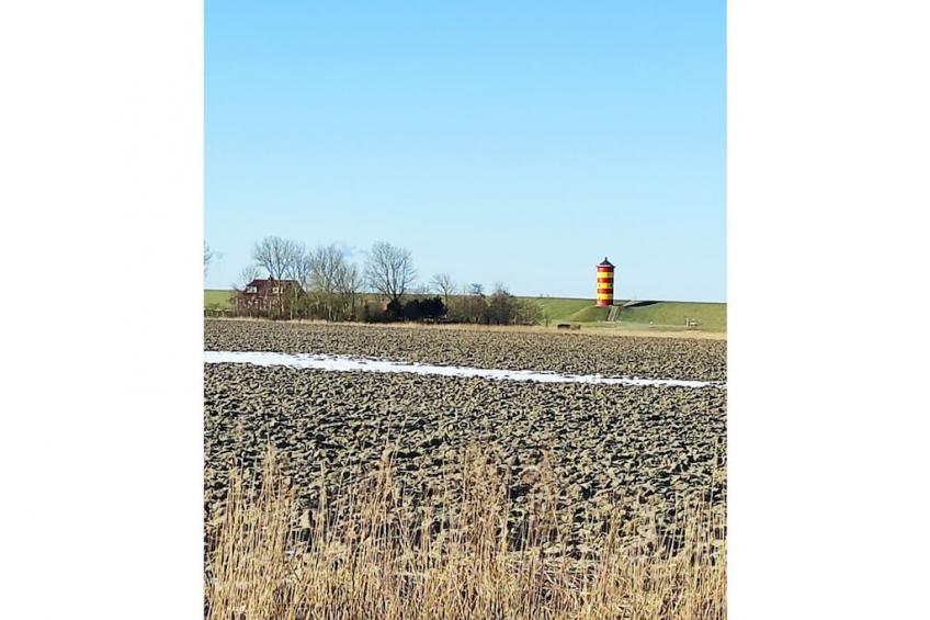 323861 - foto 21