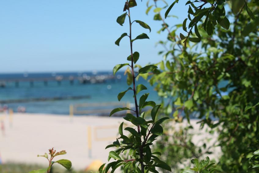 Zum Breitling - foto 39