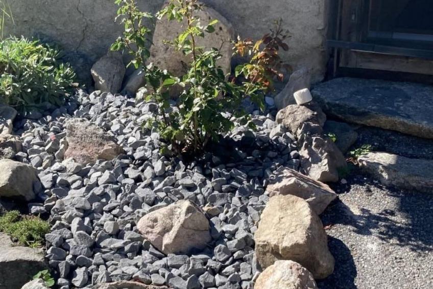 Chalet Le Grandzon  (bis 8 Personen) - foto 18