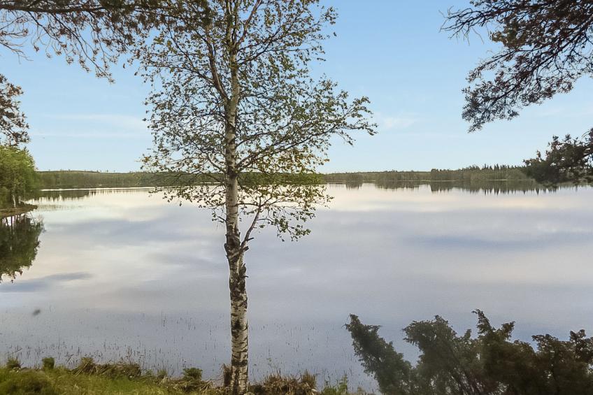 Lystikämän tupa - foto 2