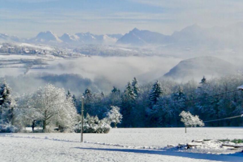 Domäne "Ferme Manoir de Dubourvieux" (Bauernhof Manoir von Dubourvieux) - foto 11