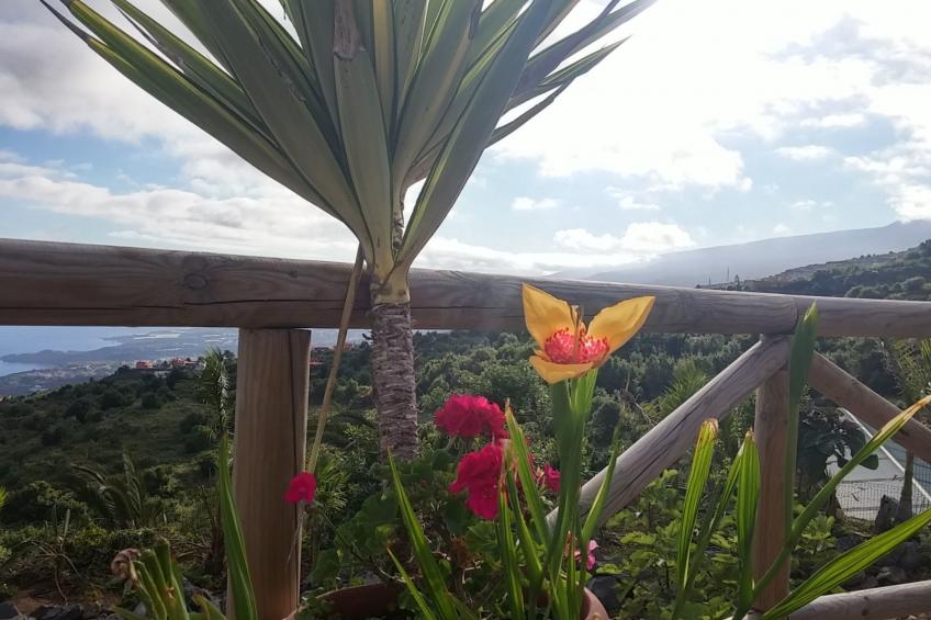 Ecolodge Teneriffa: Entspannung und Natur mit Panoramablick - foto 8