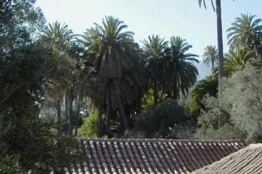 Schönes Steinhaus El Palmeral del Valle - foto 2