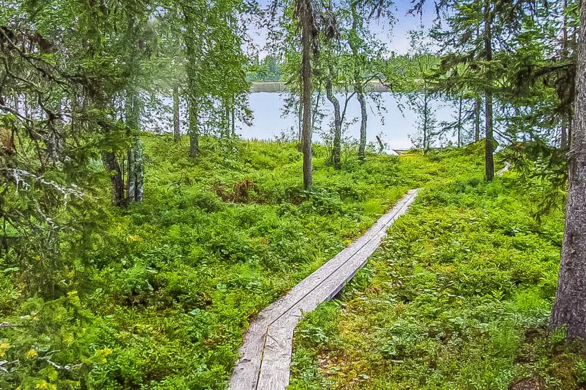Seitsemän savua 4 - foto 28