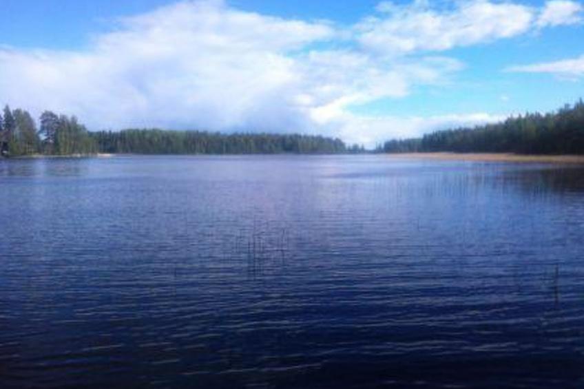 Liperi, cjoe054 - foto 8