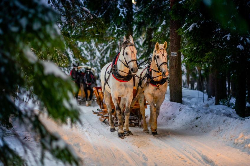 Dom MURAŃ dla max 5 osób Murzasichle - foto 31