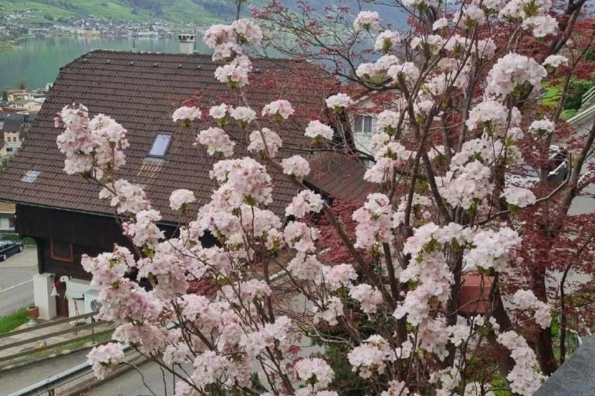 Charmantes Chalet Apartment mit Aussicht - foto 33