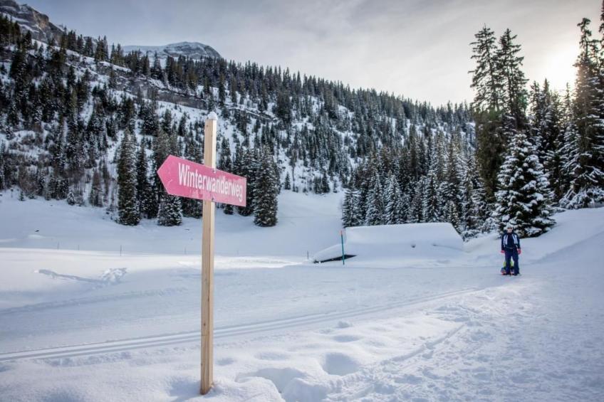 Chalet Specht - foto 19