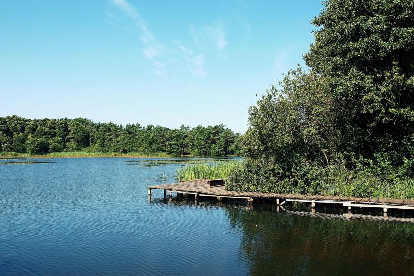 Holzhaus Juhas - foto 33