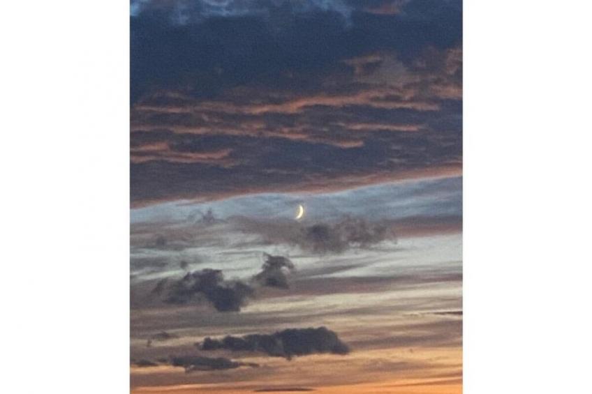 142249 - foto 6