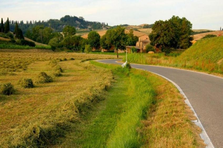 Villa Alice - foto 23