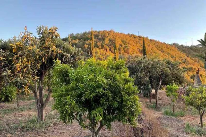 Quinta da Fragura - foto 34