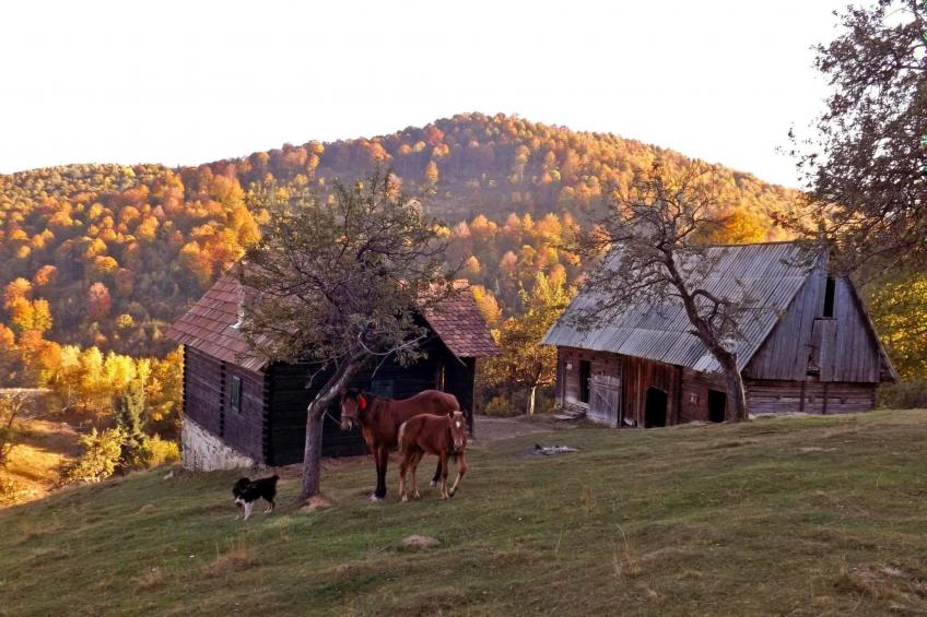 Cozo Fantu - foto 12