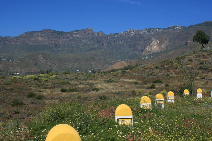 Die Schule von La Sorrueda - foto 18