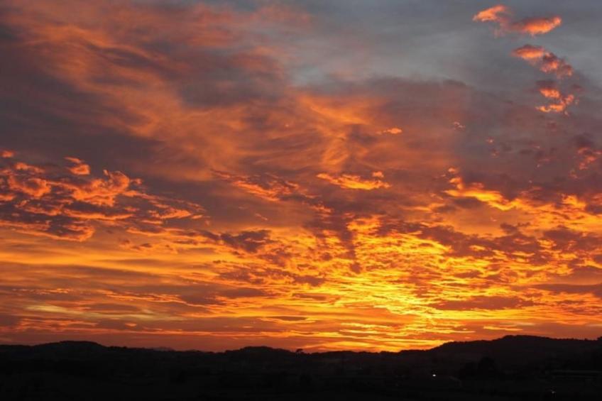 Fachwerkhaus - foto 33