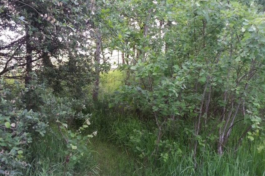 Wohnstudio für maximal vier Personen - foto 18