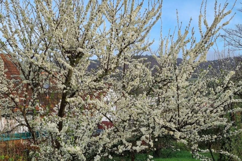 Le Château d'Eau - foto 27