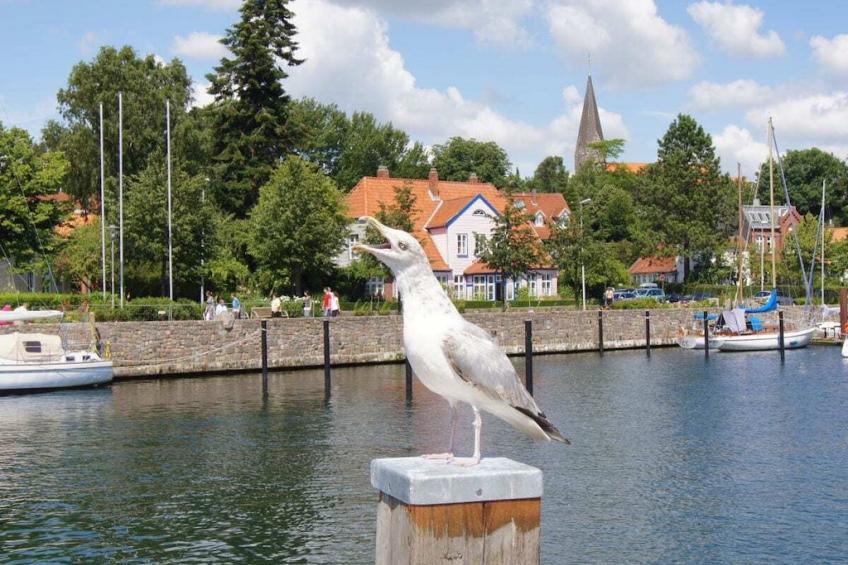 100653 - foto 20