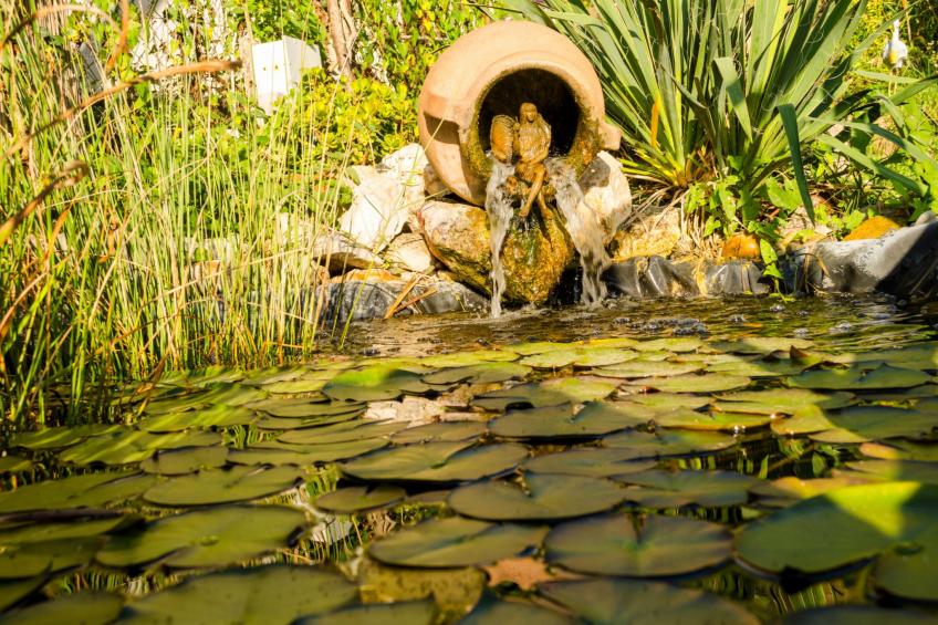 "Mühlrad" - foto 17