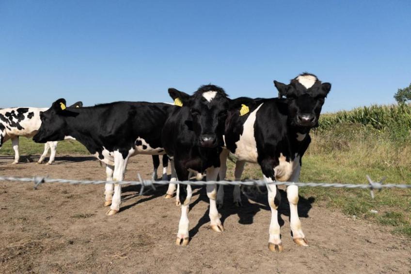 Vakantiepark 't Broeckhuys 8 - foto 21