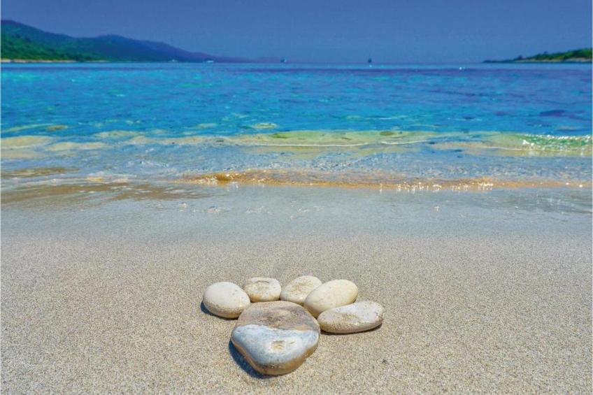 Gorgonia S2 - foto 24