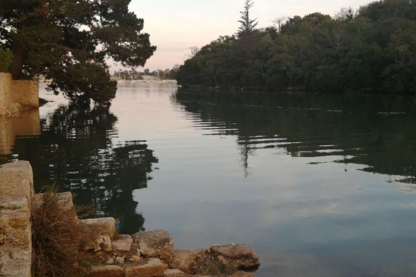 Bretagne Loctudy Haus Les Camélias 3 Personen - foto 29