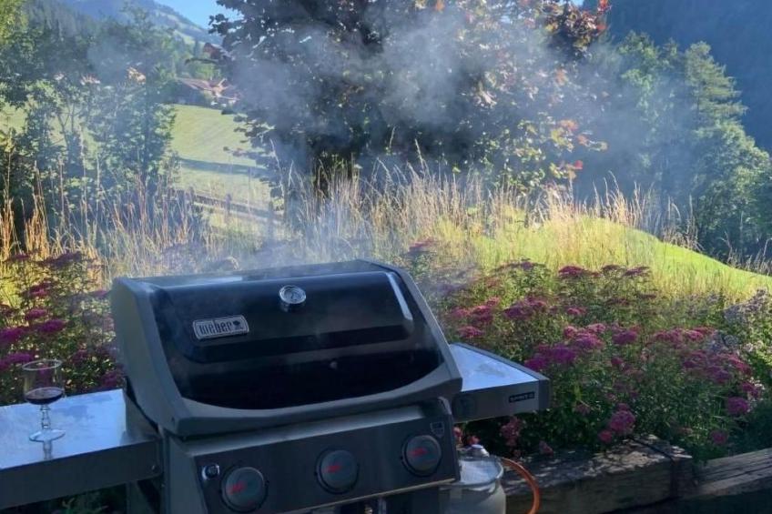 Chalet Finkenwiese - für 8 Erwachsene und 5 Kinder - foto 6