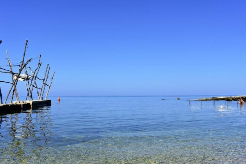 mit Blick auf das Wasser - foto 32