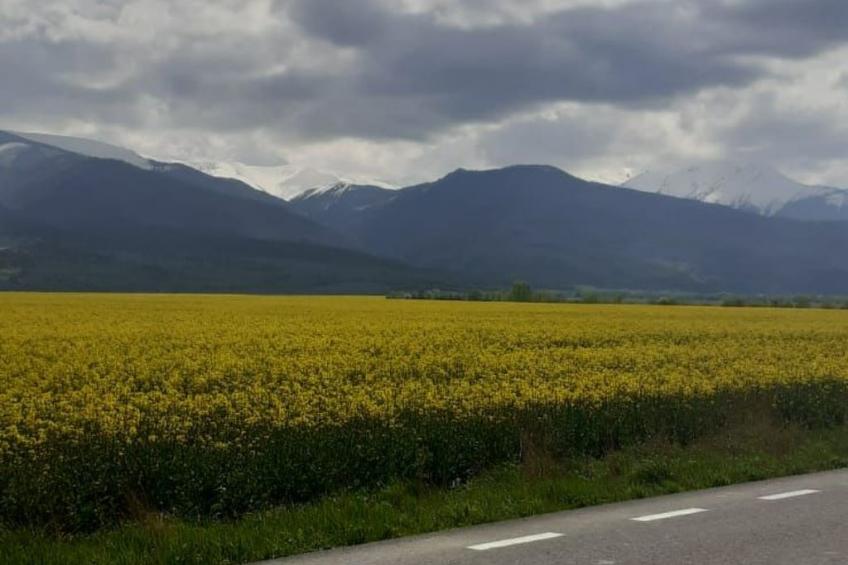 Vila Roberta Breaza Brasov - foto 27