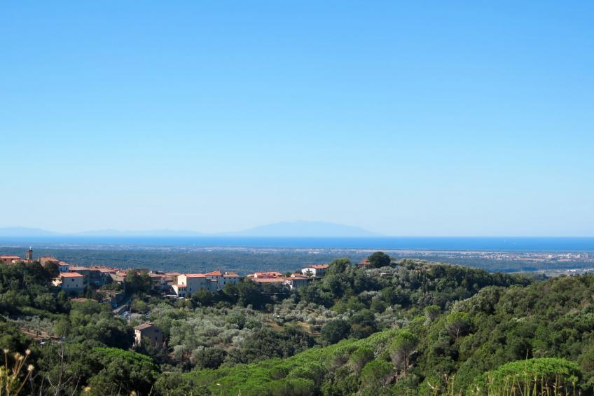 Sughera - foto 54
