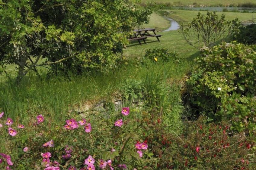 Idyllischer Landsitz mit Meerblick - foto 14