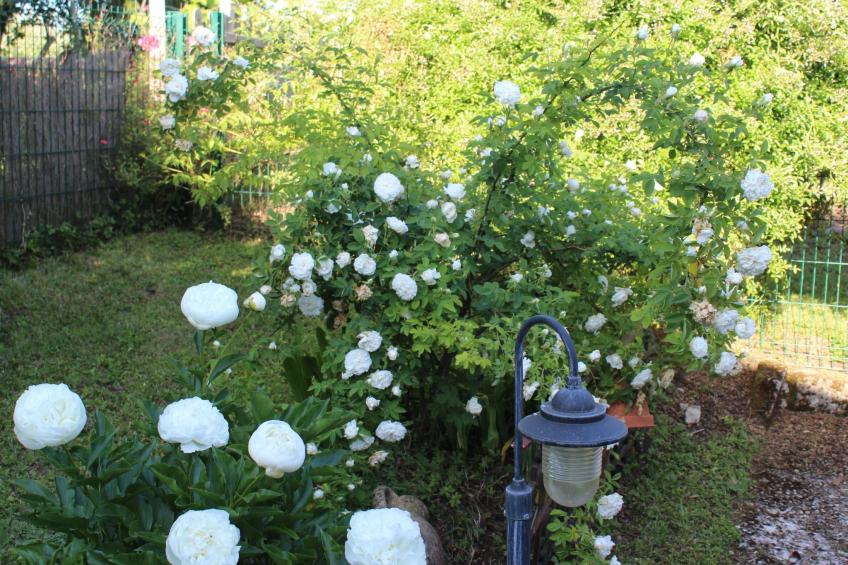 Haus "l'Ecurie" mit Terrasse und Garten - foto 42