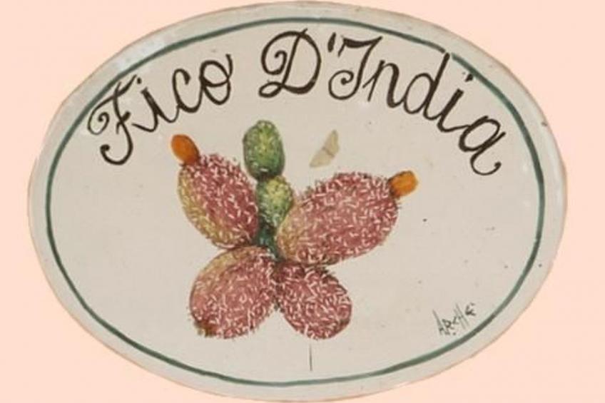 'Suite Ficodindia - foto 18