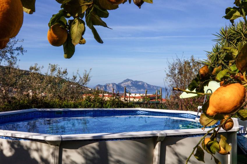 Sonnenstrahl - foto 46