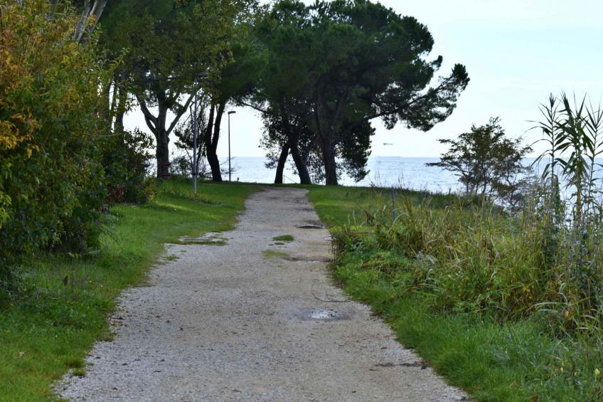 Holiday apartment Apartment Toni with terrace and sea view - BF-D24RX - foto 35