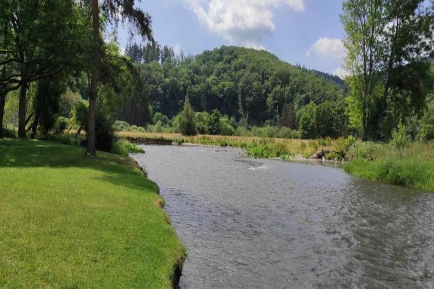 La Bressine - foto 30