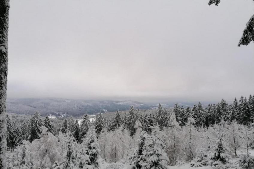 Ferienhaus Anna - foto 36