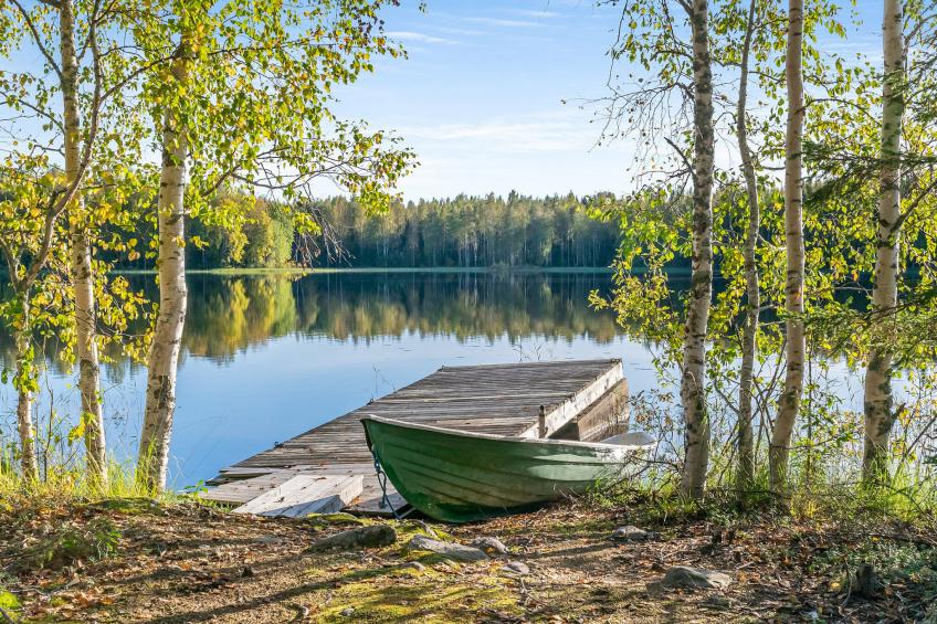 Niemenkärki, vaikon loma ja lohi - foto 31