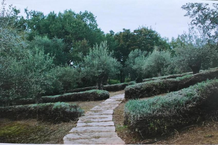 Villa Carpaneto - foto 31