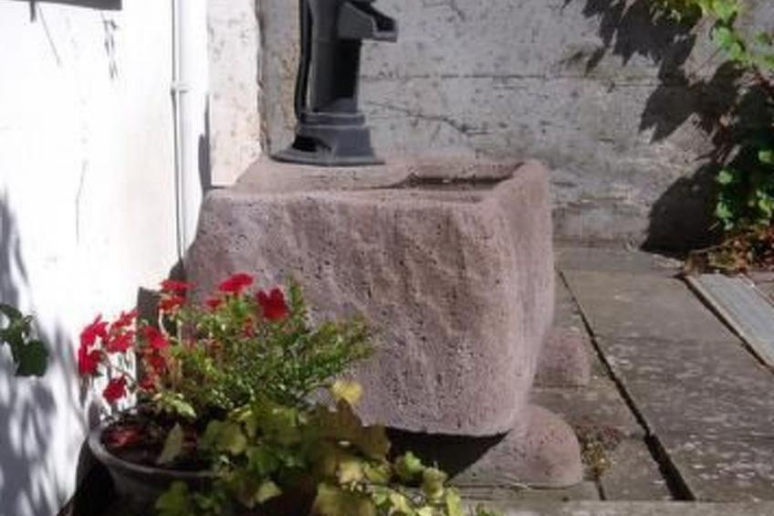 Am Waldrand - foto 14