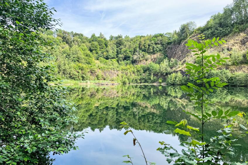 mit Grill in Bad Marienberg - foto 19