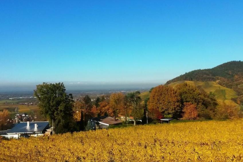 Traumwohnung - foto 48