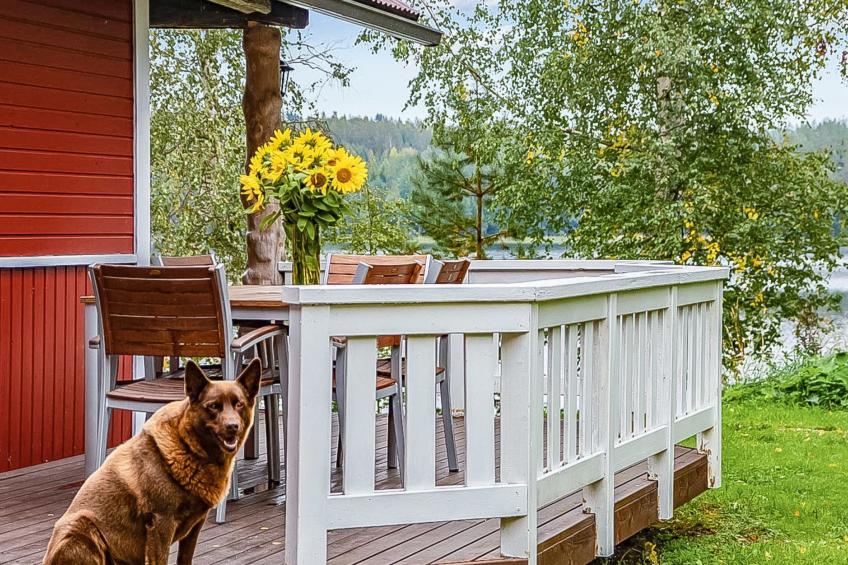 Tuomaantupa, rantalan lomamökit - foto 9